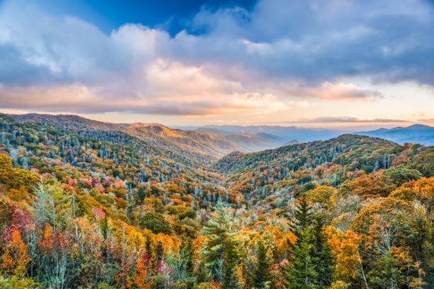 Gorgeous Wgreat Views, Pool, Game * Sevierville